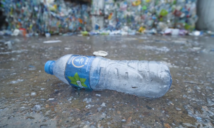 België streeft naar invoering statiegeld op plastic flessen ondanks interne strijd