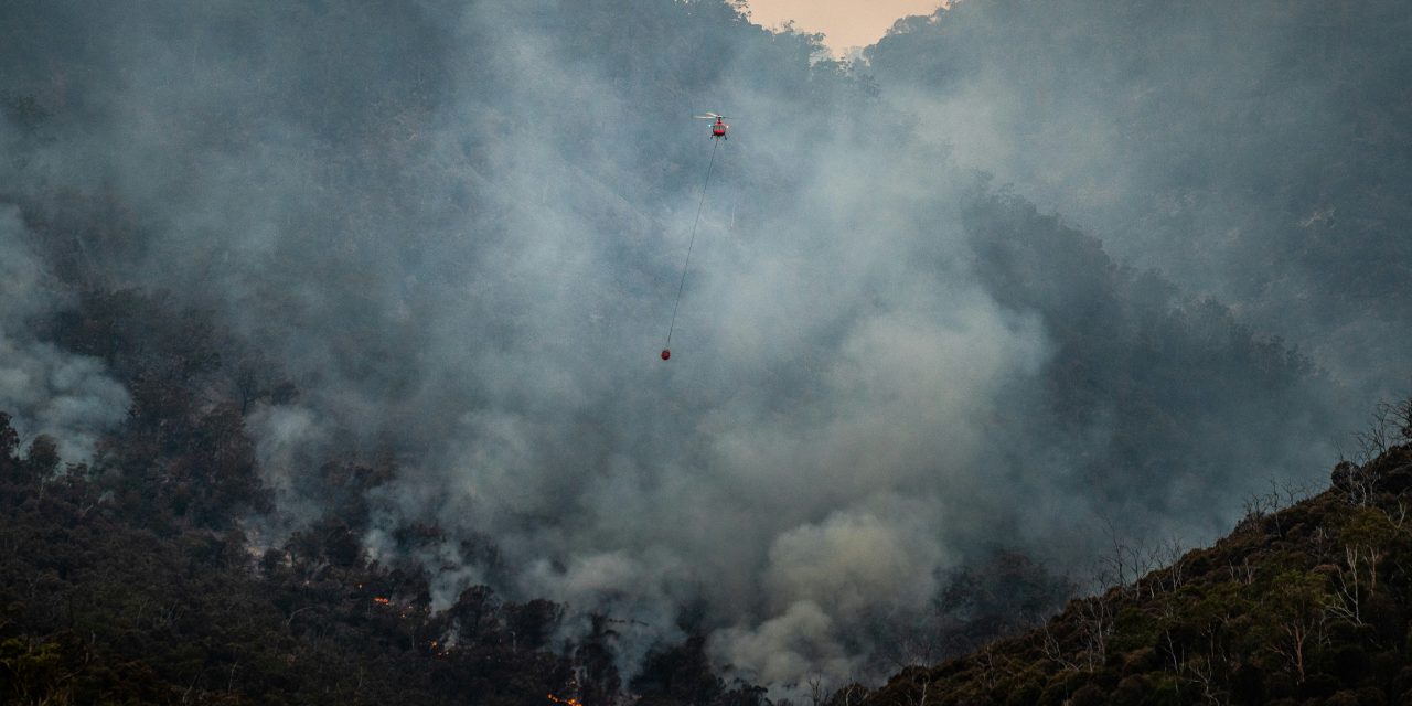 Hoe politieke belangen de toekomst van de Braziliaanse Amazonewoud bedreigen