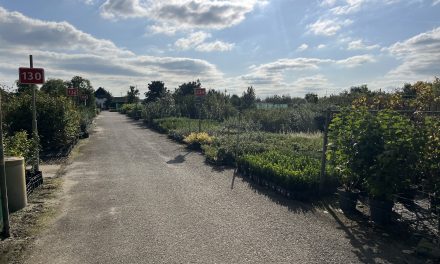 Effecten temperatuurschommelingen zichtbaar in de plantensector