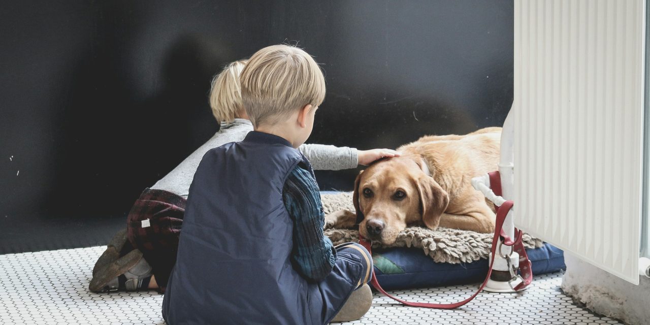 Factcheck: “Ja, kinderen die het moeilijk hebben, kunnen veel meer aan een huisdier”