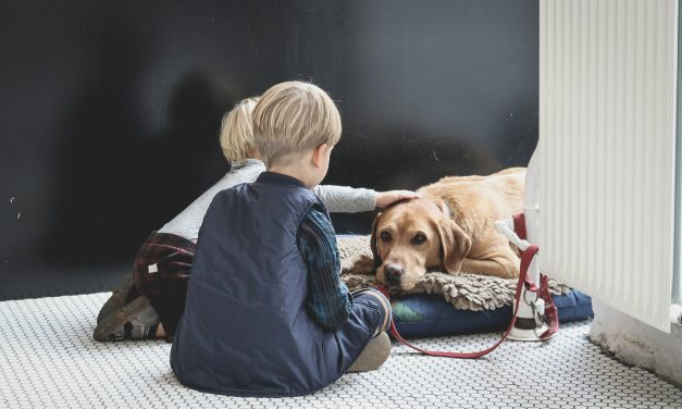 Factcheck: “Ja, kinderen die het moeilijk hebben, kunnen veel meer aan een huisdier”