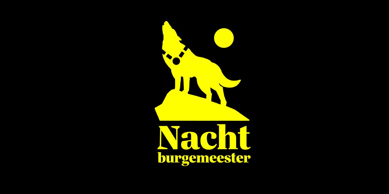 Nachtburgemeesters slaan brug tussen nachtleven en politiek