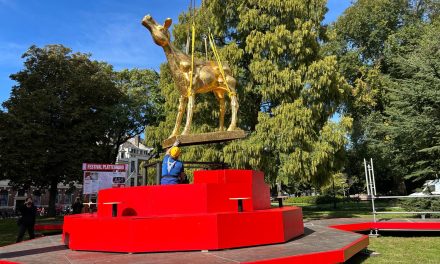Filmfestival zet Nederlandse films in de spotlight