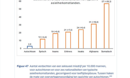 Factcheck: Mannen uit Afrika en het Midden-Oosten plegen tot 20 keer zovaak seksuele misdrijven dan Nederlandse mannen.