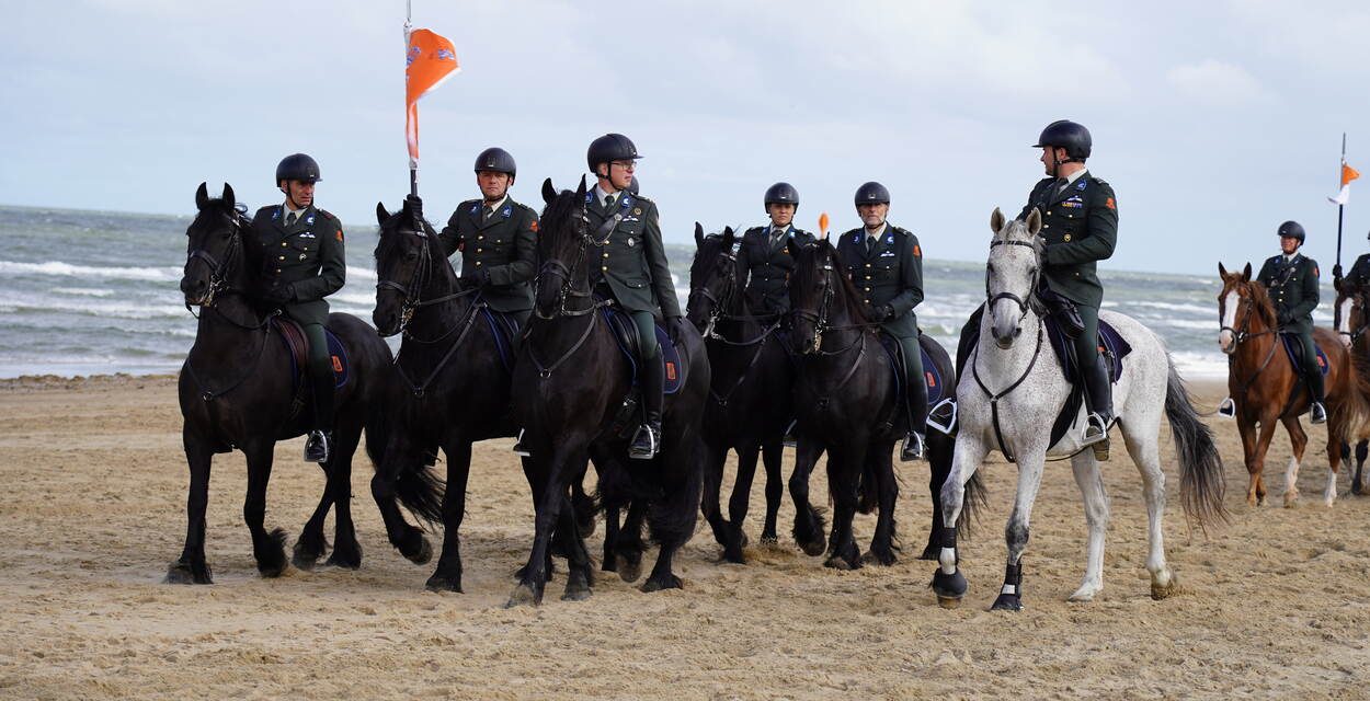 Prinsjesdag in zicht: hoe zit het met het welzijn van de paarden rondom Prinsjesdag?