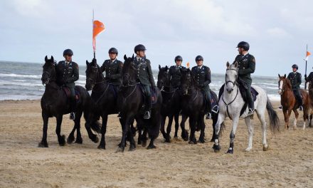 Prinsjesdag in zicht: hoe zit het met het welzijn van de paarden rondom Prinsjesdag?