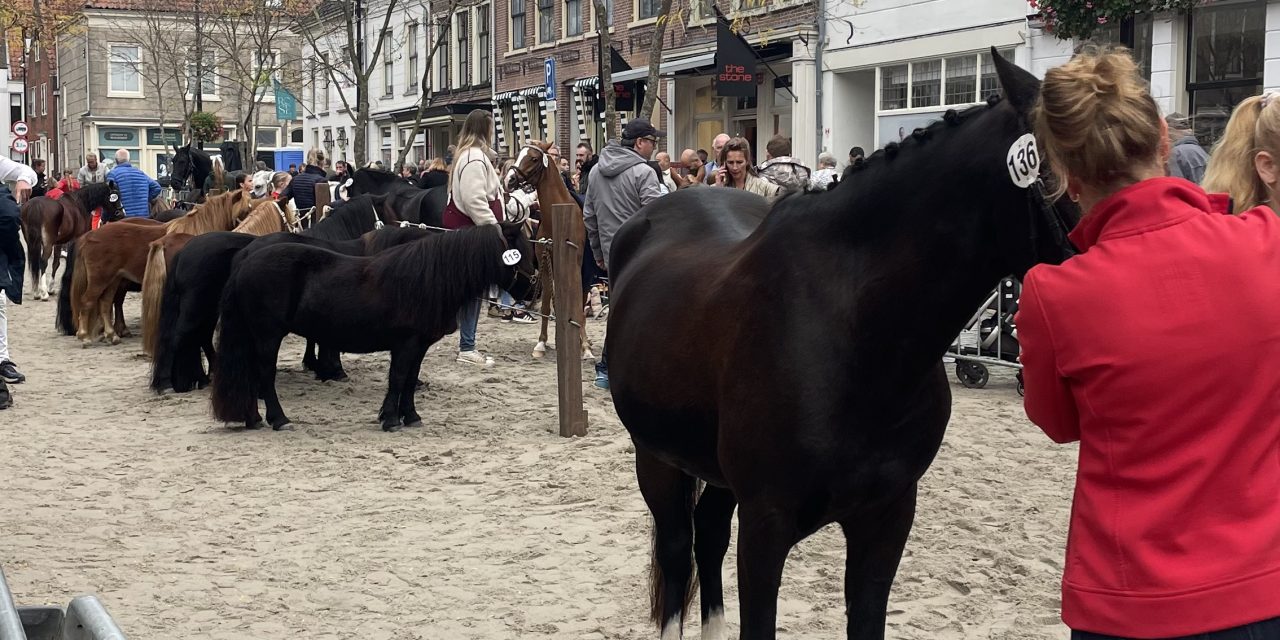 De paardenmarkt in Vianen