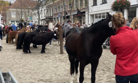 De paardenmarkt in Vianen