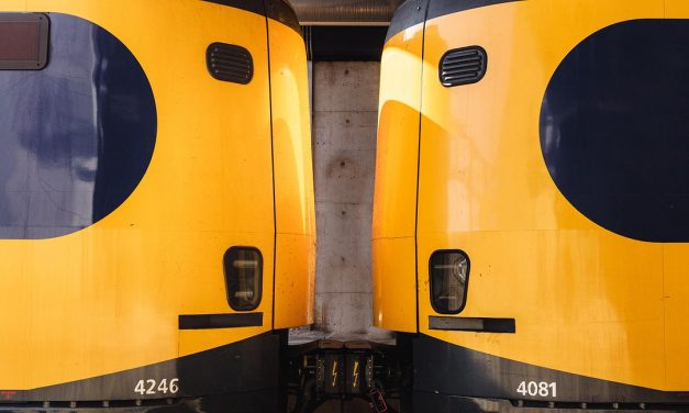 NS-boa’s mogen gaan testen met wapenstok