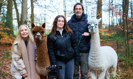 Moet je fomo hebben voor de alpaca wandeling gelderland
