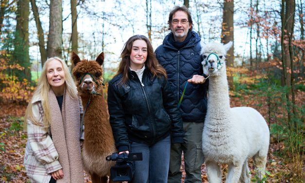 Moet je fomo hebben voor de alpaca wandeling gelderland