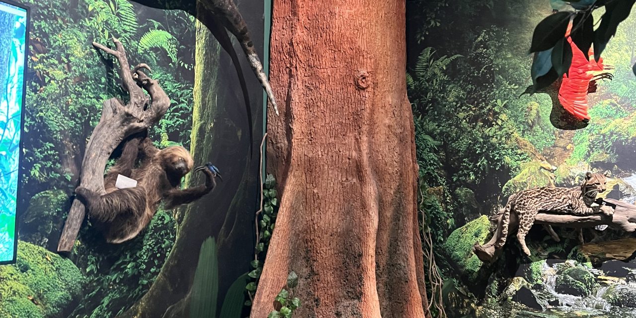 Explainer bauxiet reserves in Suriname