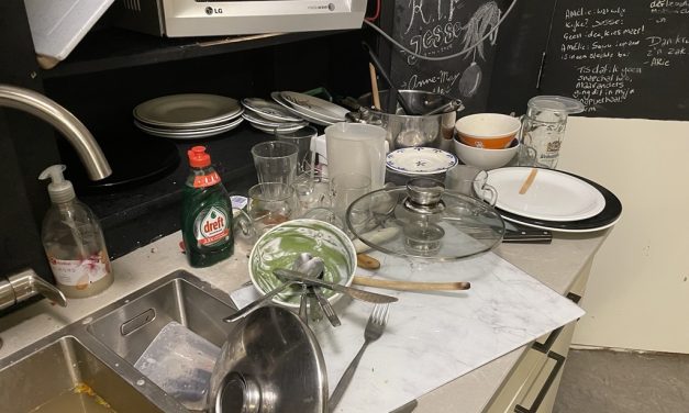 Wat is het vieste dat jij ooit hebt moeten schoonmaken?