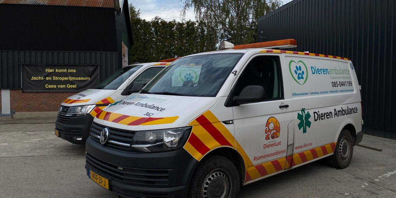 Minder egels, meer gevaren: de egel heeft het moeilijk