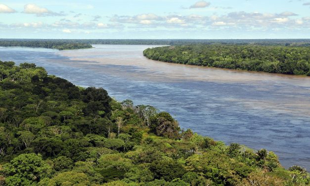 Brazilië kiest opnieuw, de Amazone kijkt mee