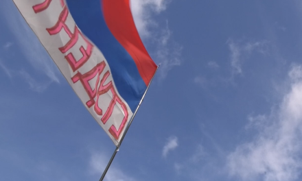 Van studenten beweging naar politieke partij