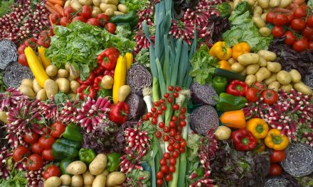 Waarom minder vlees eten verschil kan maken