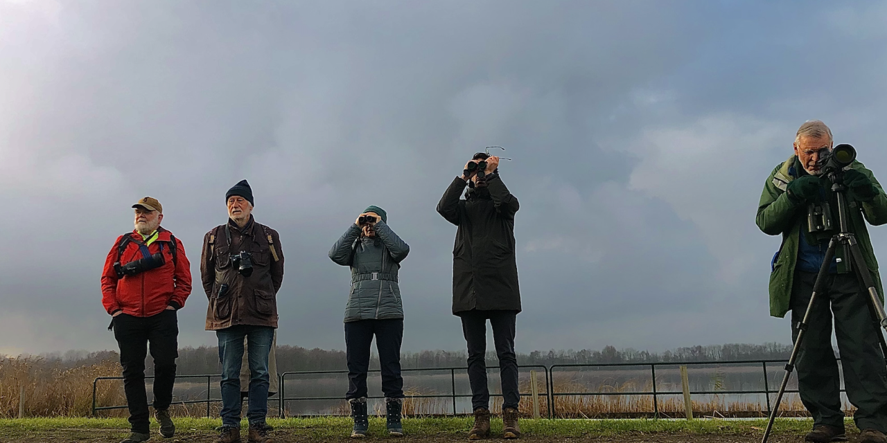Waternet neemt vogelaars mee op excursie langs de Loenderveense Plas