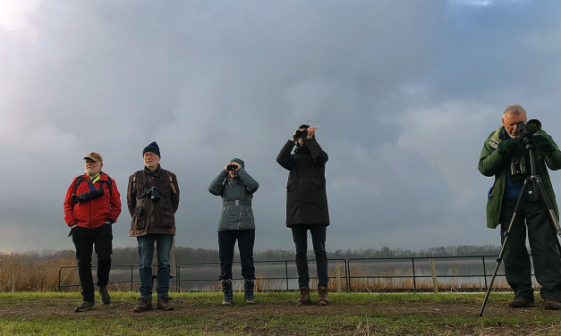 Waternet neemt vogelaars mee op excursie langs de Loenderveense Plas