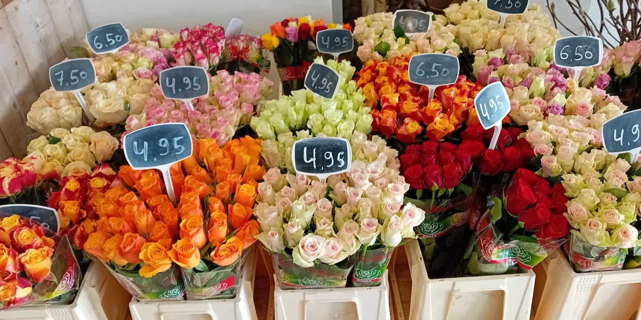 Rode rozen duurder rondom Valentijnsdag