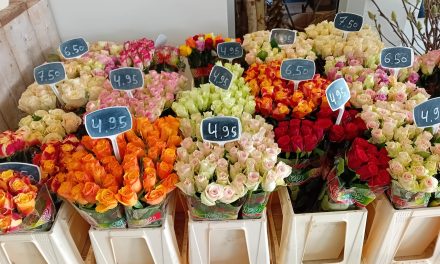 Rode rozen duurder rondom Valentijnsdag