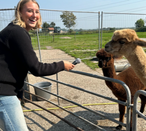 Alpaca boerderij Langeslang in Kockengen opent voor derde jaar op rij haar deuren