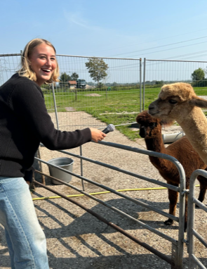 Alpaca boerderij Langeslang in Kockengen opent voor derde jaar op rij haar deuren