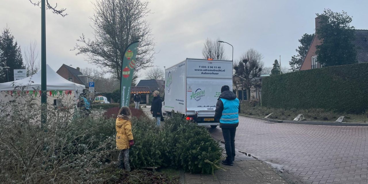 Kerstboominzamelactie terug na zes jaar