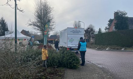 Kerstboominzamelactie terug na zes jaar