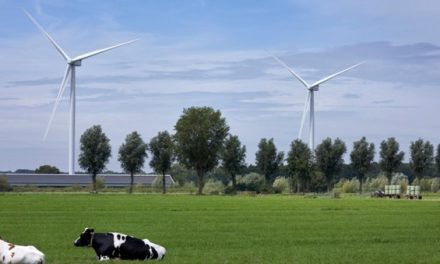 Lokaal Liberaal tegen plannen windenergie in Stichtse Vecht