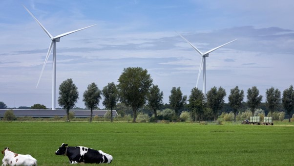 Lokaal Liberaal tegen plannen windenergie in Stichtse Vecht