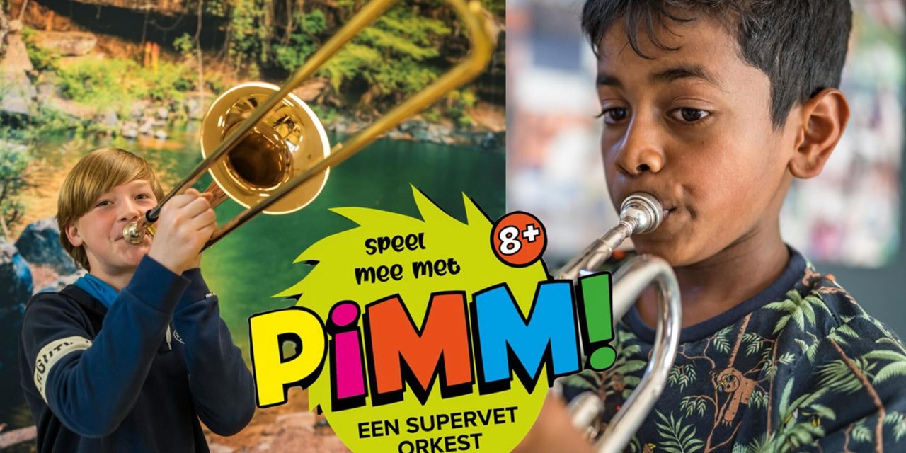 SGD Tienhoven organiseert PIMM orkest