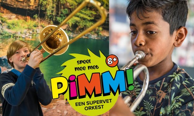 SGD Tienhoven organiseert PIMM orkest