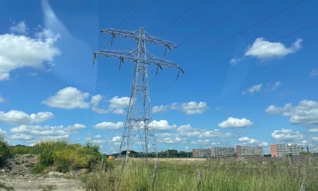 Bouw afvalscheidingsstation De Splitsing tijdelijk stilgelegd door oeverzwaluwen