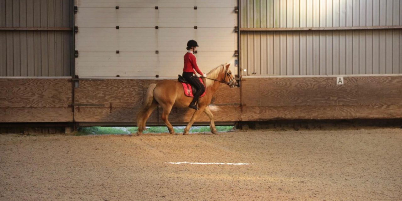 Vanaf 1 juli toegestaan: bitloos rijden op hoog niveau binnen de paardensport
