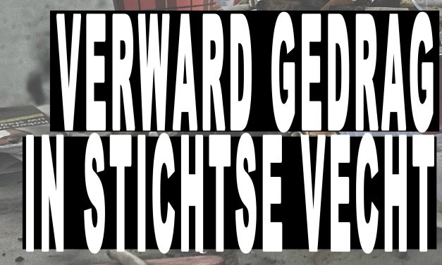 Opvallend weinig meldingen van overlast door verwarde personen in 2023