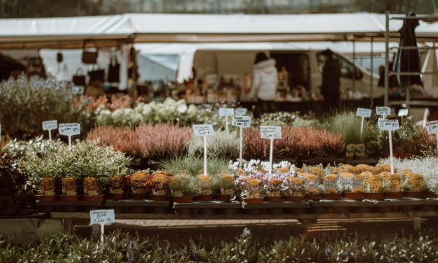 Maarssen Beleeft: Het begin van het evenementenseizoen