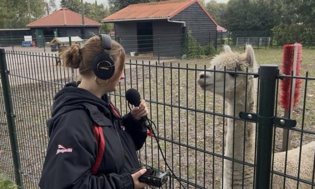Claudine Ester is het dierendag feest aan het voorbereiden: ‘Het is wel echt een passie’