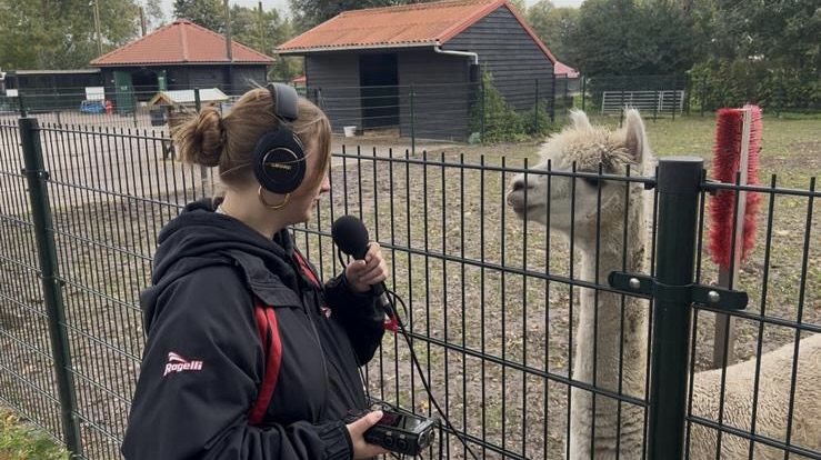 Claudine Ester is het dierendag feest aan het voorbereiden: ‘Het is wel echt een passie’