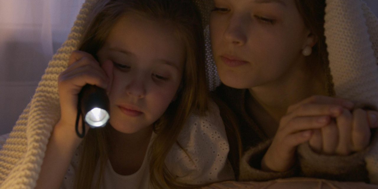 ‘Nederland valt uit’ ook actief in gemeente Stichtse Vecht