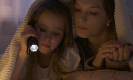 ‘Nederland valt uit’ ook actief in gemeente Stichtse Vecht