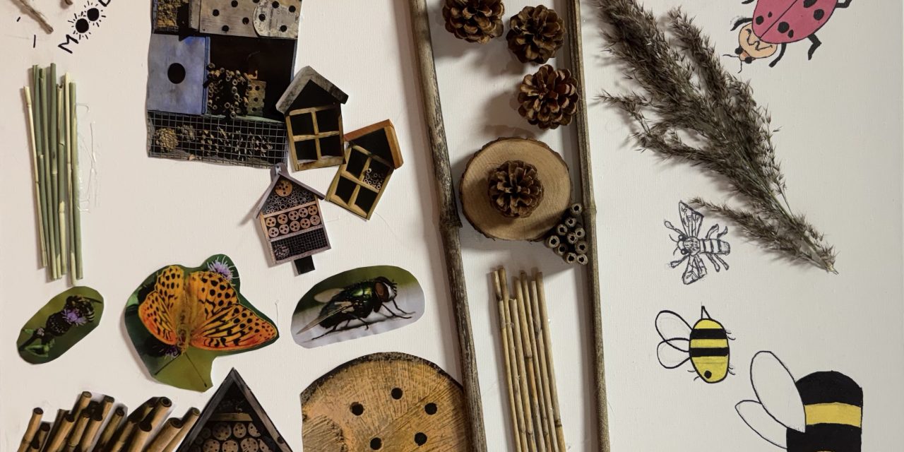 Bezige bijtjes hebben hard gewerkt aan het project insectenhotel!