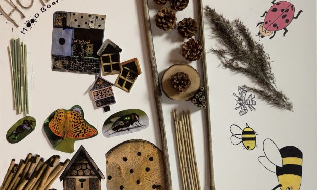 Bezige bijtjes hebben hard gewerkt aan het project insectenhotel!