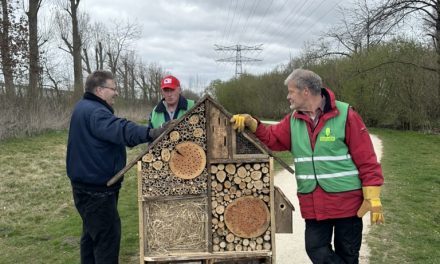 Vrijwilligers plaatsen nieuw insectenhotel in wijkpark na vernieling