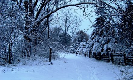 Sneeuwval zorgt voor spanning op laatste dagen Maarssen on Ice: “We hebben met brandslangen de tent staan te redden”