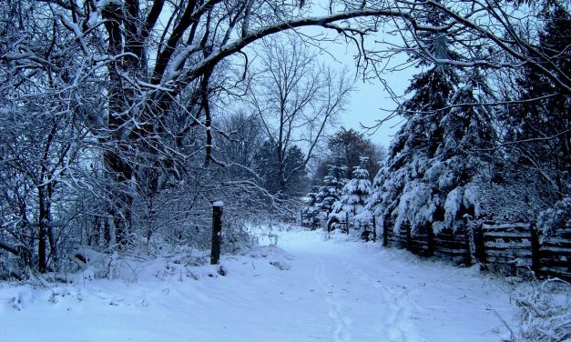 Sneeuwval zorgt voor spanning op laatste dagen Maarssen on Ice: “We hebben met brandslangen de tent staan te redden”