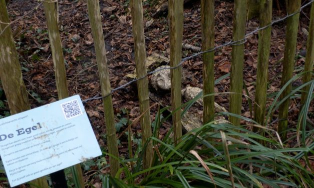 Vandalisme treft wijkpark, vrijwilligers plaatsen nieuwe beelden
