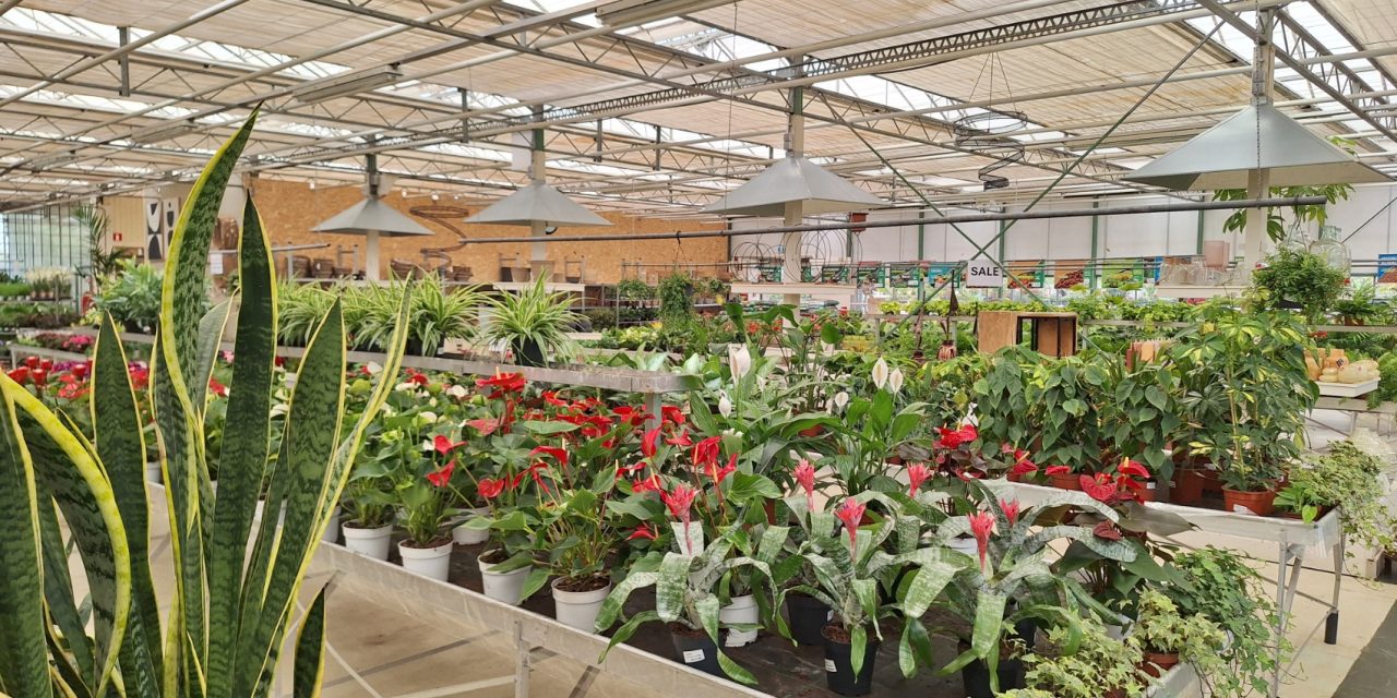 Tuincentrum sluit zijn deuren: ‘Heel jammer dat er geen opvolger is’