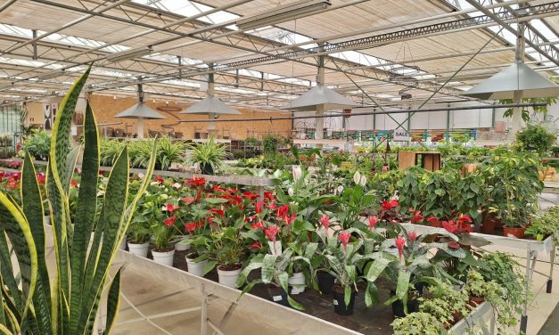 Tuincentrum sluit zijn deuren: ‘Heel jammer dat er geen opvolger is’