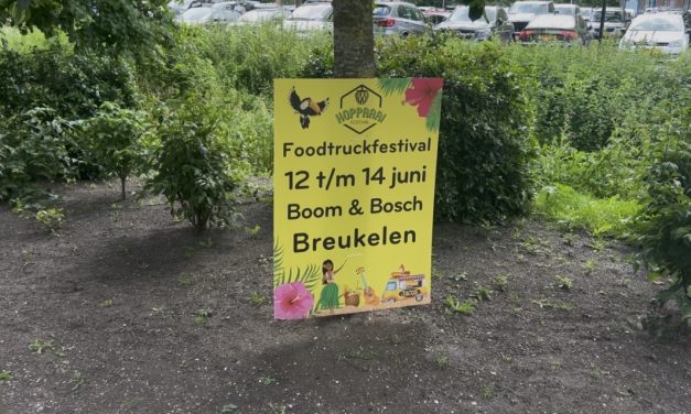 Foodtruckfestival in breukelen in volle gang: ‘Mensen ontmoeten elkaar’